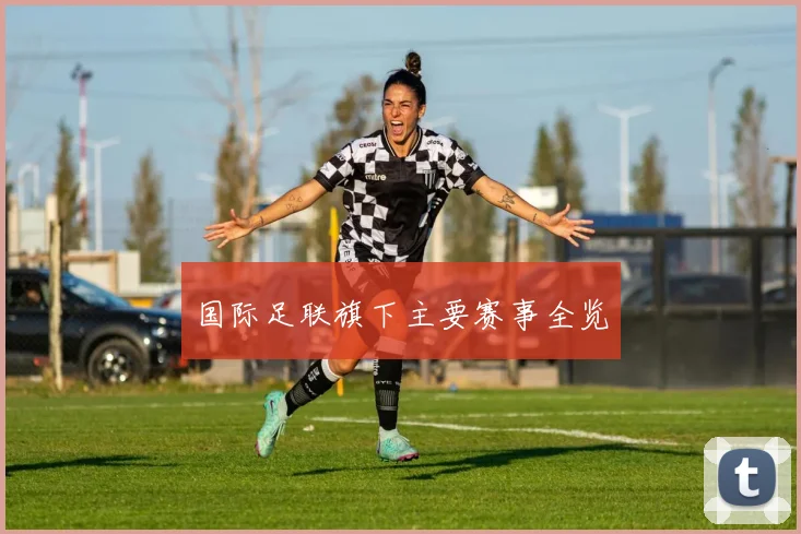 国际足联旗下主要赛事全览
